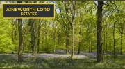 Ainsworth Lord Estates